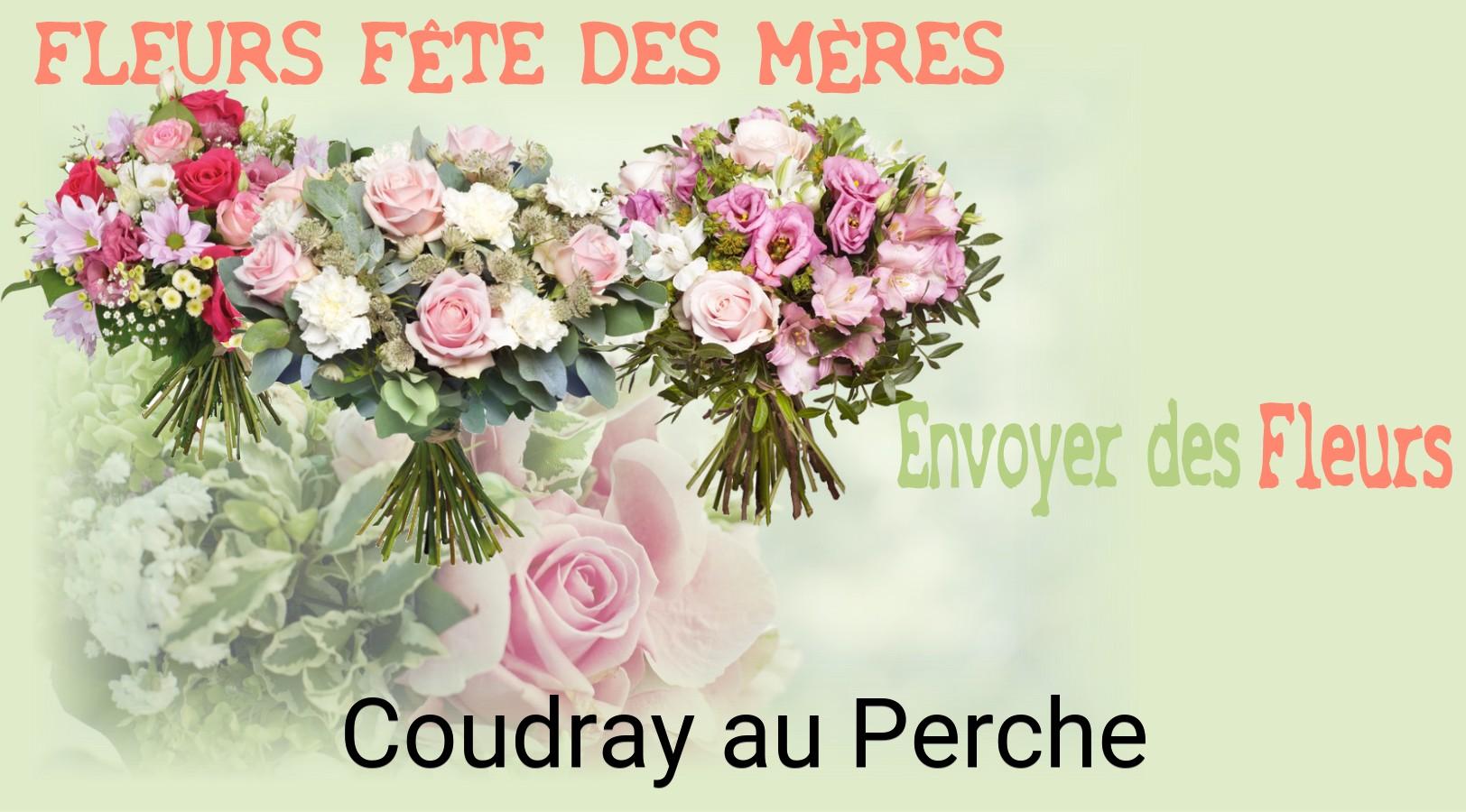 Bouquet de Fête des Mères livré à Coudray-au-Perche